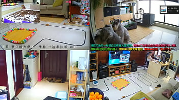 Preview 1 of Xxxc13x - chinese live