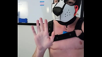 Preview 1 of Anakseks - Verification video