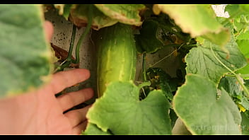 Preview 1 of Onli Sistr - This sub boy likes veggies... in his ass - he takes a cucumber and then my fists