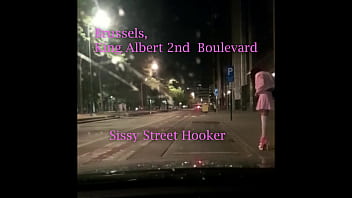 Preview 1 of Baise Silvia Rolf - larissa1sexdoll Trans Sissy Offers free service for BBC