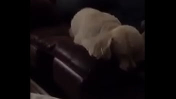 Preview 4 of 3d Animation Alien Abduction 1 - Couch feet