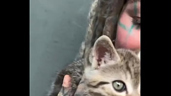 Preview 3 of Hardcore Speed Xxx - Adorable kittens always make everything better ?Which animal brings you the most comfort?#KittenLove #CuddleVibes ...