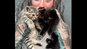 Preview 4 of Hardcore Speed Xxx - Adorable kittens always make everything better ?Which animal brings you the most comfort?#KittenLove #CuddleVibes ...