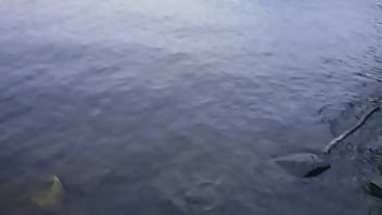 Preview 2 of Tamil Actress Lila Xxx Video - Urinals In America: CT. River