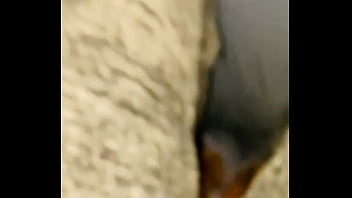 Preview 4 of Women Sex With H Horse Animalsex - Solo