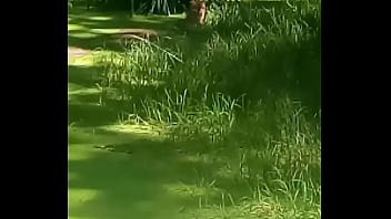Preview 4 of Iki Arkadas Bi Karim - Ověřovac&iacute_ video
