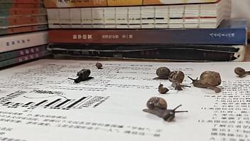 Preview 3 of Masturbeting Ebony - 验证视频