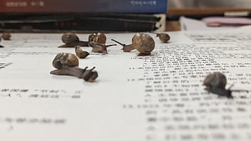Preview 1 of Masturbeting Ebony - 验证视频