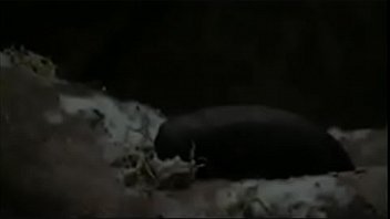 Preview 2 of Fire Sm - Masturbando na maquina