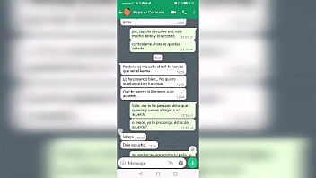 Preview 3 of Fakeing Sex - Conversaci&oacute_n con mi ex - novio por WhatsApp y terminamos follando