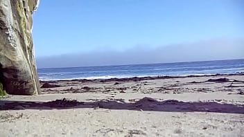Preview 1 of Son And Mom Forcsd - Visiting a Nude Beach