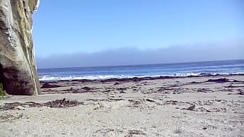 Preview 4 of Son And Mom Forcsd - Visiting a Nude Beach