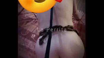 Preview 1 of Xxx Video Boy Boy Hot - Paseo a mi perrita