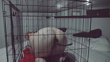 Preview 1 of Www Xxx Video Hd 18 Com 2017 - # Violet Coxx FTM Puppy sex