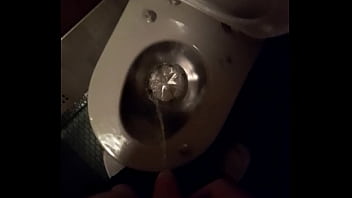 Preview 3 of Ind Bro Sis First Time - Piss in train toilet