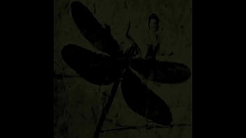 Preview 1 of 3d Momster - Dark Lantern Entertainment Presents &#039_The Dragonfly&#039_ Scene 1 Pt.2