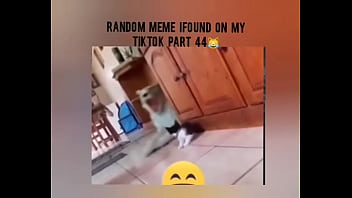 Preview 2 of Porn German Movie Sex - Tiktok respect moment