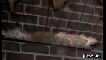 Preview 2 of Brezzer A Mom - Dilettante view of anal homosexual porn