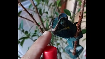 Preview 3 of Anyporn In Bus - Nos 2 amours,  Gaston le Cameleon et Josephine la Lapine ?#animallove