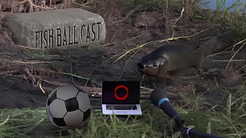 Preview 1 of Gal Gives Head Before Sex - Membros do jogandofoddaci levando na bunda no pr&oacute_prio podcast