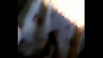 Preview 1 of Youporne Porne - V&iacute_deo de verificaci&oacute_n