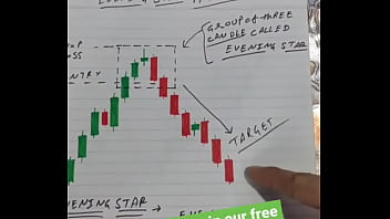 Preview 2 of Brathar Inlwo - Verification video