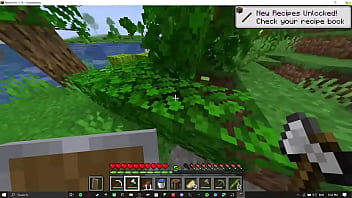 Preview 2 of Enema Asian Japanese - minecraft #1