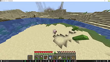 Preview 3 of Enema Asian Japanese - minecraft #1