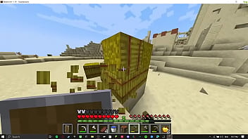 Preview 4 of Enema Asian Japanese - minecraft #1
