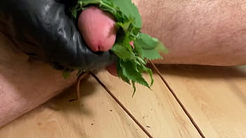 Preview 2 of Real Black Fatties - Extreme cbt stinging nettles cum