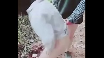Preview 4 of Japanese Finger Solo - 木瓜奶美女白天在野外跟猥琐男野战  心可真大