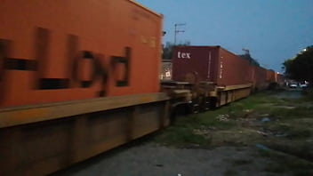 Preview 1 of Bur Sowing - Trasporte