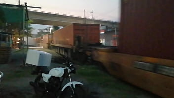 Preview 4 of Bur Sowing - Trasporte