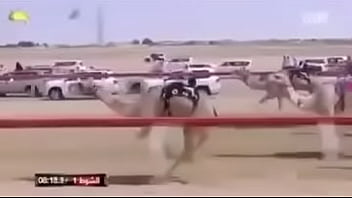Preview 2 of Play Game Porn - camel race