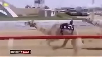 Preview 4 of Play Game Porn - camel race
