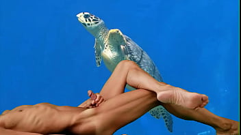 Preview 1 of Girls And Boys Live Sex - Turtle cock