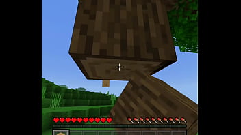 Preview 1 of Seks Tepi Pantai Malay - Minecraft timelapse atualizado 2016