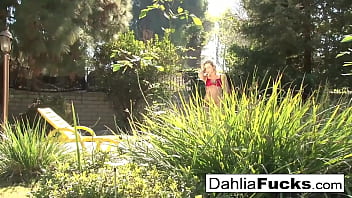Preview 1 of Dog Knot Girl Ass - Hot toy playtime With Dahlia Sky