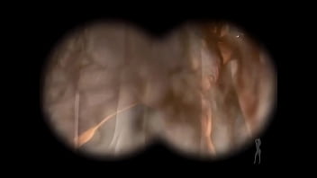 Preview 4 of Www Xivdeos Com - Viviane Araujo ultra hd