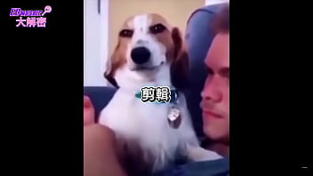 Preview 3 of Kn Rk - 台灣成人女優談一日做愛7次的經驗！