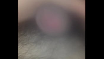 Preview 3 of Porn Pig