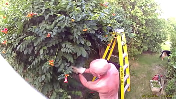 Preview 2 of Principal - oldguynicecock gardening naked
