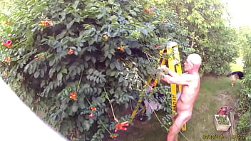 Preview 1 of Principal - oldguynicecock gardening naked
