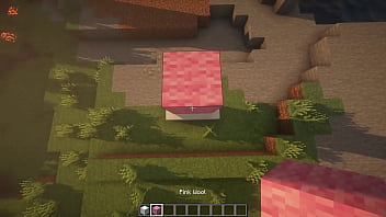 Preview 3 of Pinni Tho Sex In Hme - Minecraft but it&#039_s hot