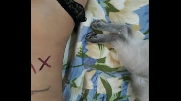 Preview 4 of Wwwvideo Bf Xxxx - V&iacute_deo de verifica&ccedil_&atilde_o