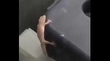 Preview 2 of German Goo Girls Aymie - Meme lagartija
