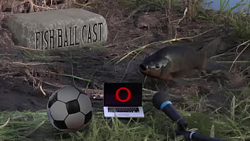 Preview 2 of Xxx Vibo 2018 - Membros do jogandofoddaci levando na bunda no pr&oacute_prio podcast