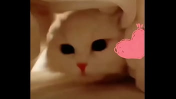 Preview 1 of Chakka Ki Hd Video Sexy Download - 验证视频