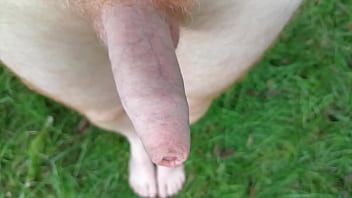 Preview 2 of Jessica Drake Peter North - Outdoor feet and cock show