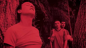Preview 1 of Public Heard - Picnic Sex